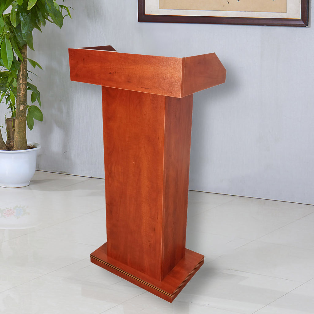 Rostrum Skini - Image 2